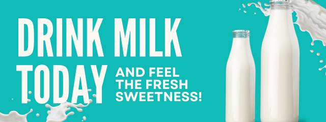 Dairy Products banner